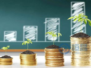 恒昌公司 那些省時(shí)又省力的財(cái)富管理方法