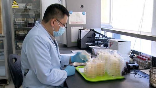 17年上海3人吃蛋糕,一死一傷一人卻沒事,報(bào)警調(diào)查發(fā)現(xiàn)不簡單