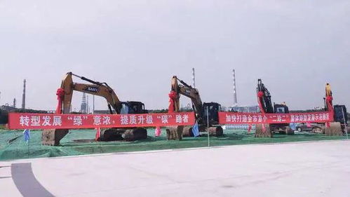 吸引企業(yè)紛紛飛回上海，金山這家園區(qū)有何奧秘——財務咨詢助力企業(yè)騰飛